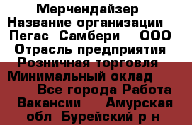 Мерчендайзер › Название организации ­ "Пегас" Самбери-3, ООО › Отрасль предприятия ­ Розничная торговля › Минимальный оклад ­ 23 500 - Все города Работа » Вакансии   . Амурская обл.,Бурейский р-н